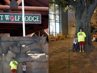 A collage of the Great Wolf Lodge entrance and lobby. Includes the main wooden sign with a pink paw print, children posing by a massive indoor stone fireplace, and a large faux tree in the rustic lobby.