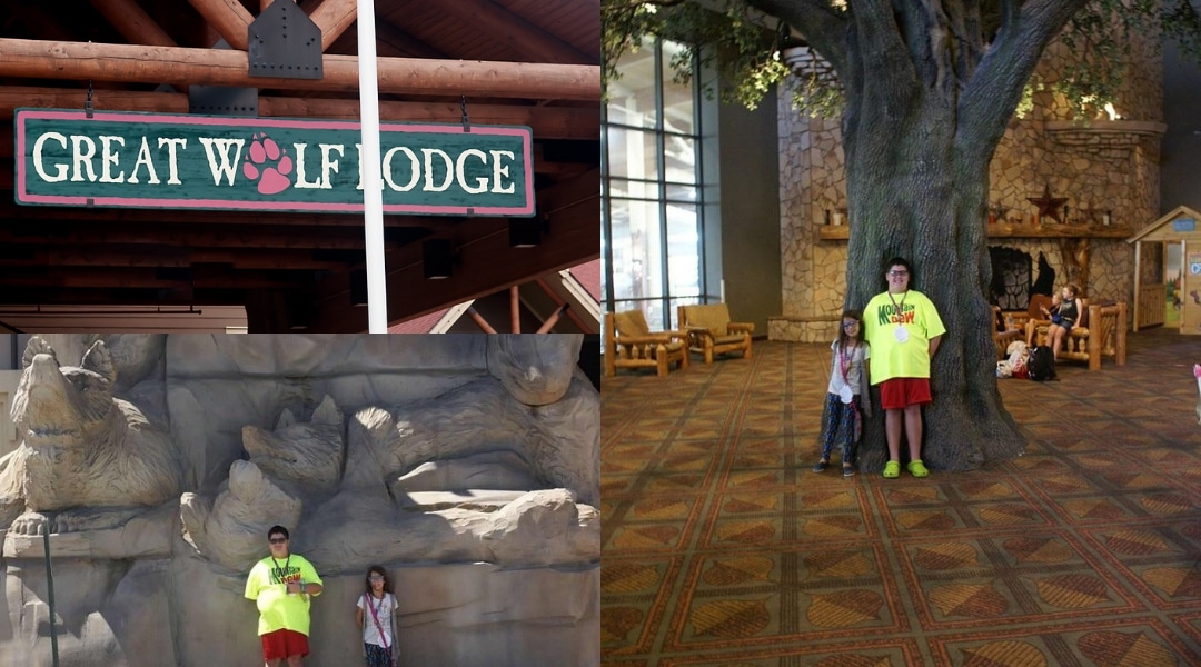 A collage of the Great Wolf Lodge entrance and lobby. Includes the main wooden sign with a pink paw print, children posing by a massive indoor stone fireplace, and a large faux tree in the rustic lobby.