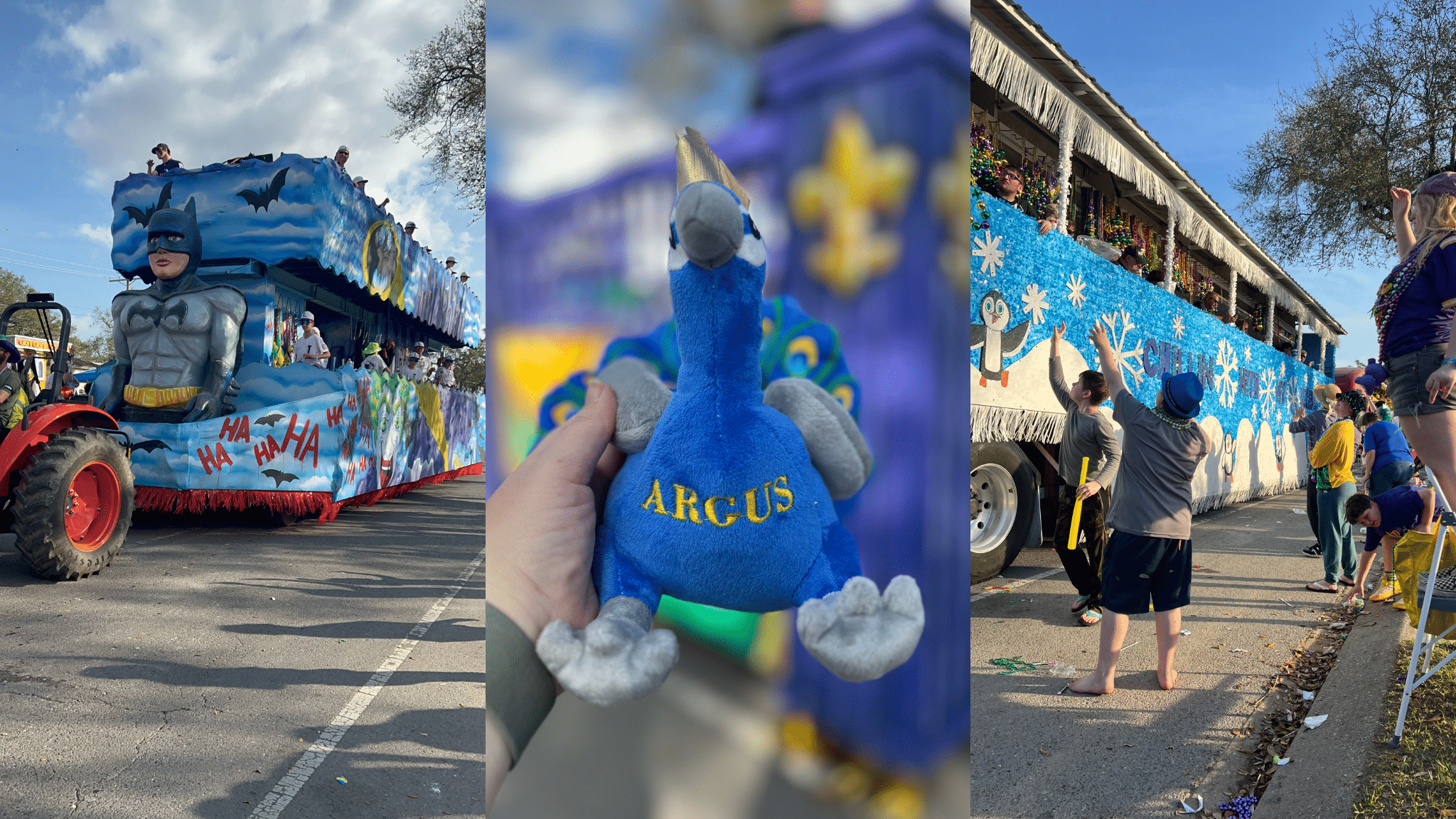 A collage of three photos from a Mardi Gras parade in Metairie, Louisiana: on the left, a large two-story Batman-themed float with "HA HA HA" text; in the center, a close-up of a hand holding a blue plush peacock named "Argus" in front of a purple fleur-de-lis background; and on the right, a blue "Chillin' with my Gnomies" float decorated with penguins as parade-goers reach up to catch beads.