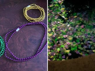 Mardi Gras Beads and Doubloons at Port Orleans French Quarter at Walt Disney World Resort