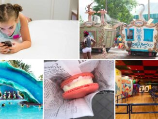 Five ways to cool off at Walt Disney World