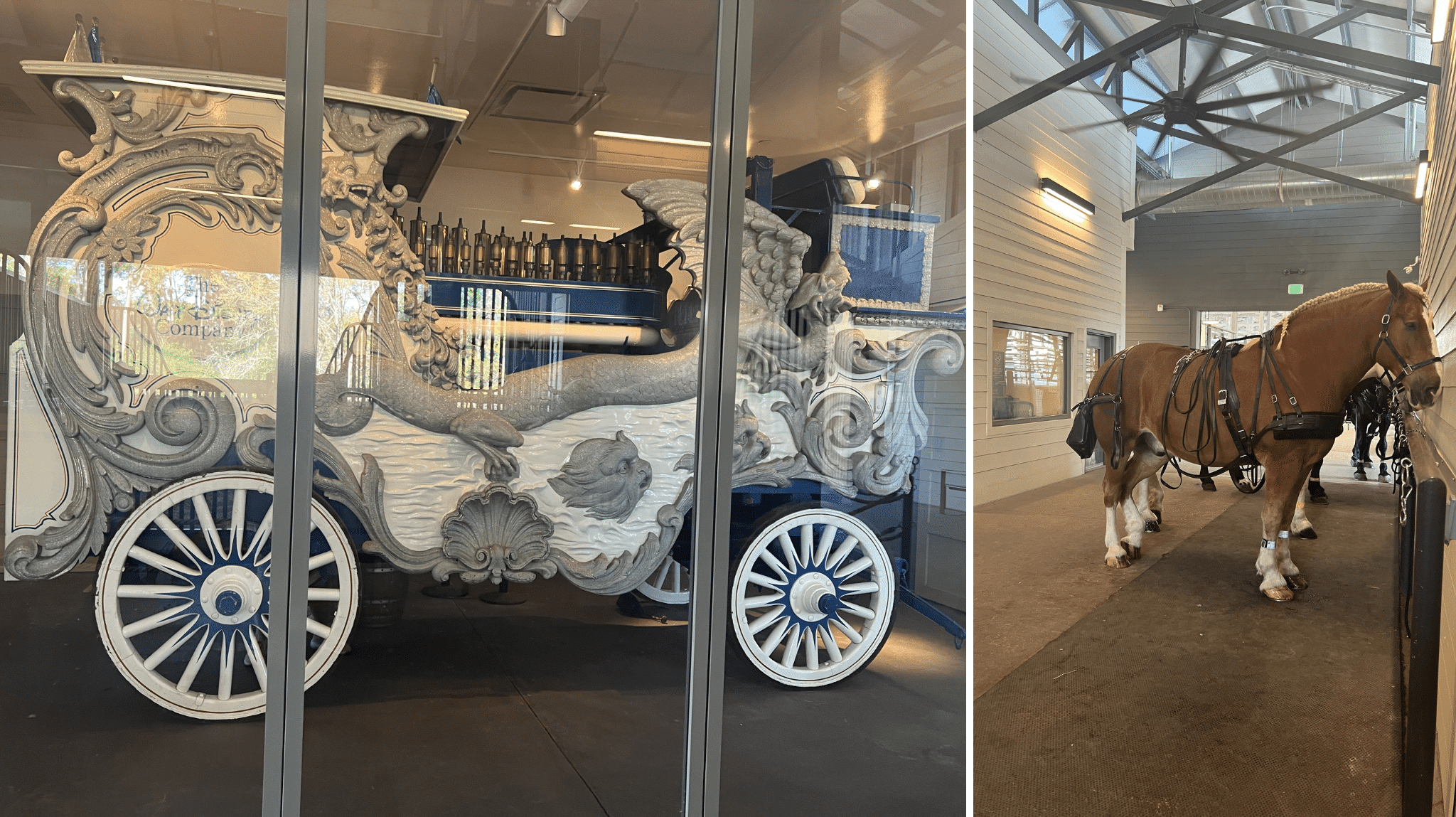 Tri-Circle D Ranch Horses and Cinderella Carriage at Fort Wilderness Walt Disney World