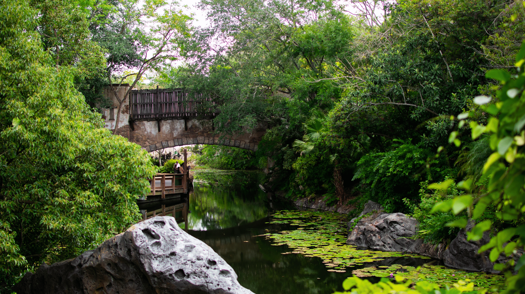 Walkway between Africa and Pandora in Animal Kingdom