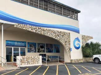 Gulfarium Marine Adventure Park in Fort Walton Beach, Florida