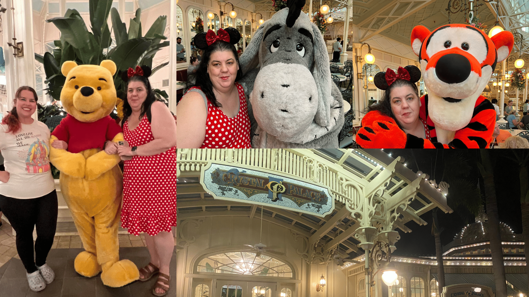 How to Meet Winnie the Pooh at Walt Disney World (2026 Guide)