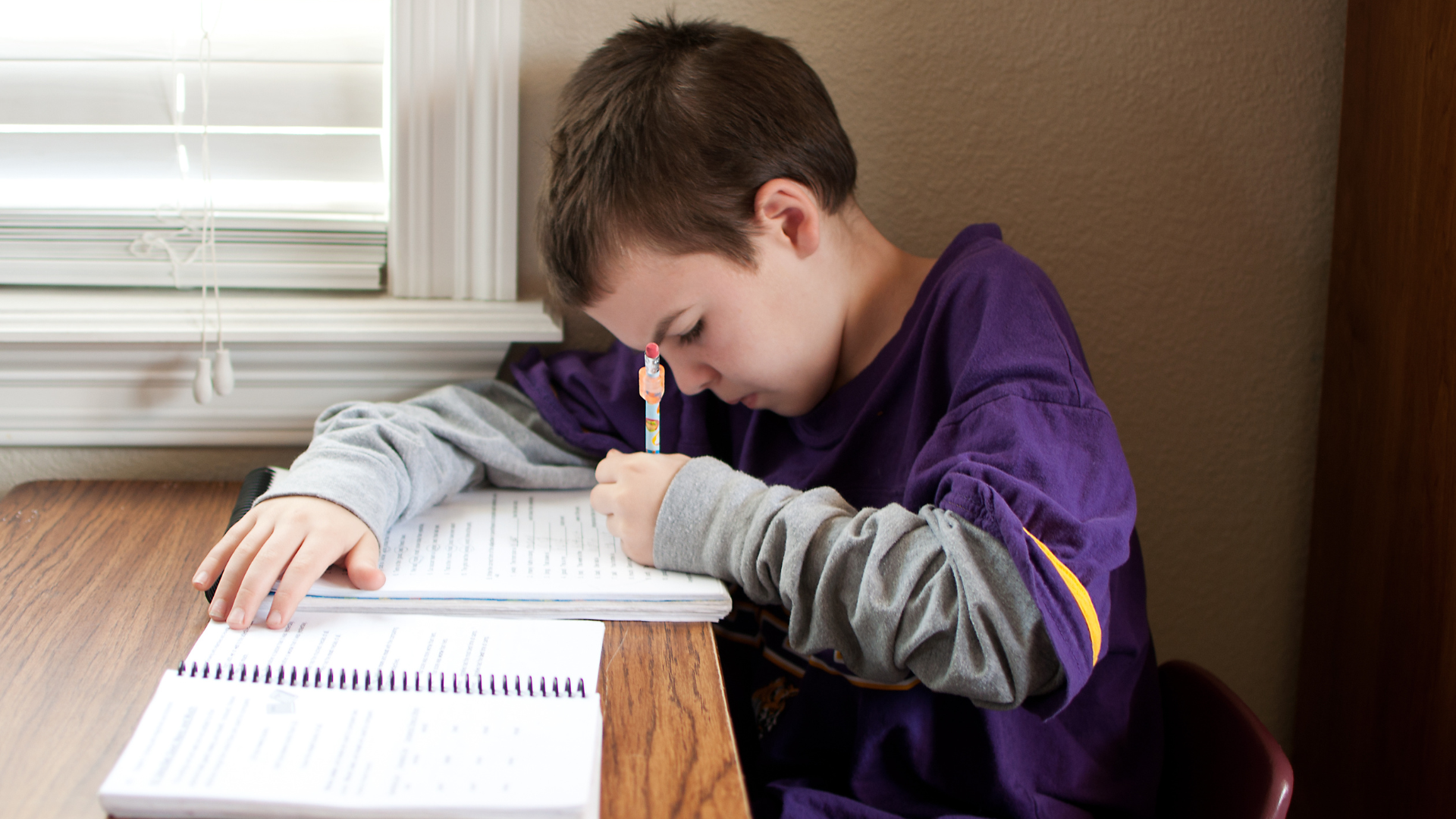 Boy doing grammar work at home 
