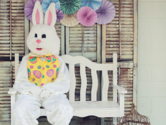 Easter Bunny Sitting on a bench in a park