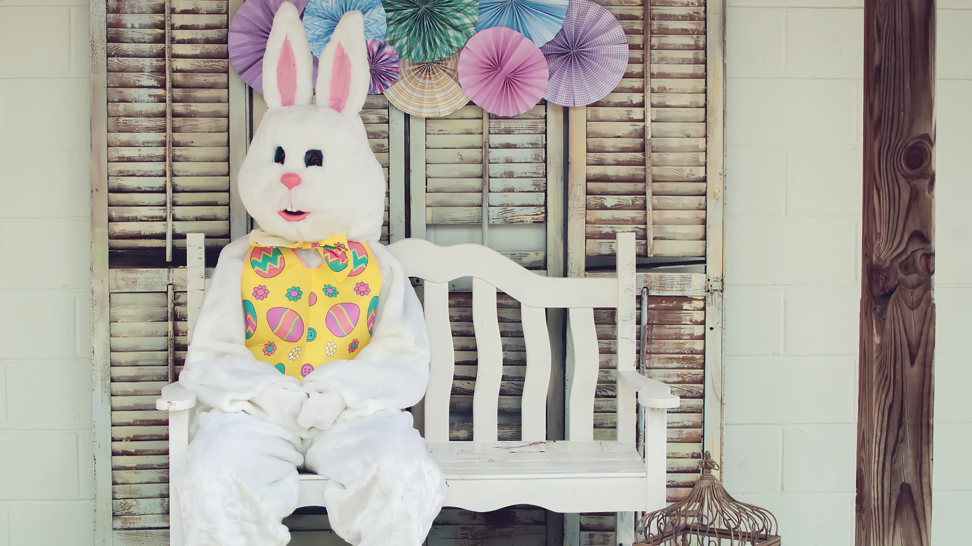 Easter Bunny Sitting on a bench in a park 